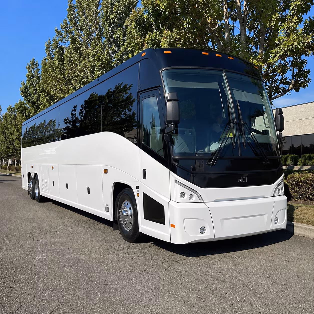 longmont 50 passenger charter bus