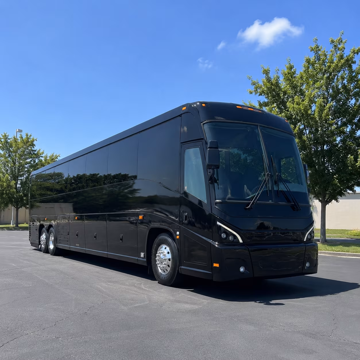 longmont 56 passenger charter bus