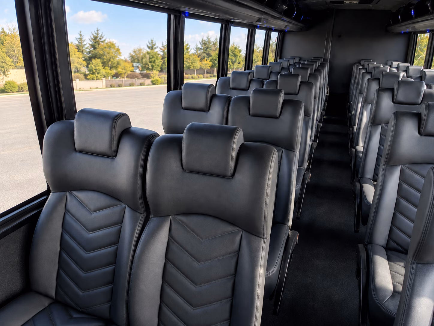 longmont prom transportation